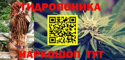 jwh Камышлов