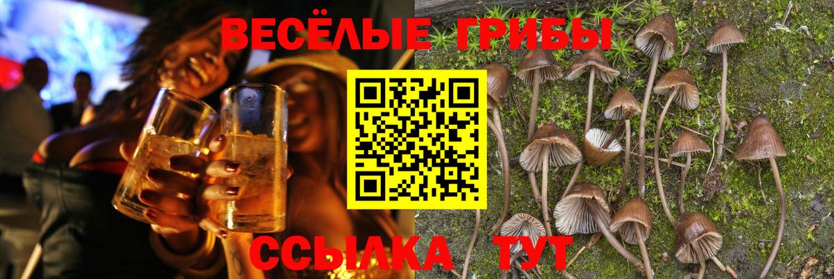 закладка  Галлюциногенные грибы ЛСД  Вход с VPN  Кузнецк 